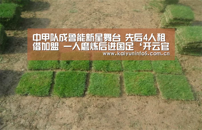 中甲队成鲁能新星舞台 先后4人租借加盟 一人磨炼后进国足‘开云官网’(图4) 开云在线平台