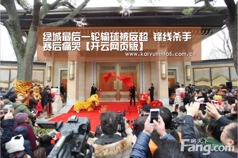绿城最后一轮输球被反超 锋线杀手赛后痛哭【开云网页版】(图2) 开云网页版