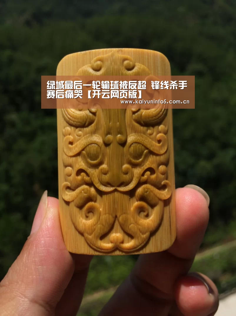 绿城最后一轮输球被反超 锋线杀手赛后痛哭【开云网页版】