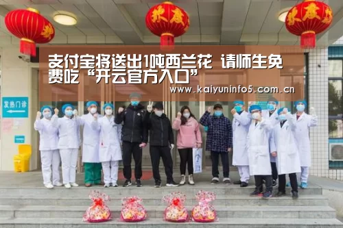 开云官方入口